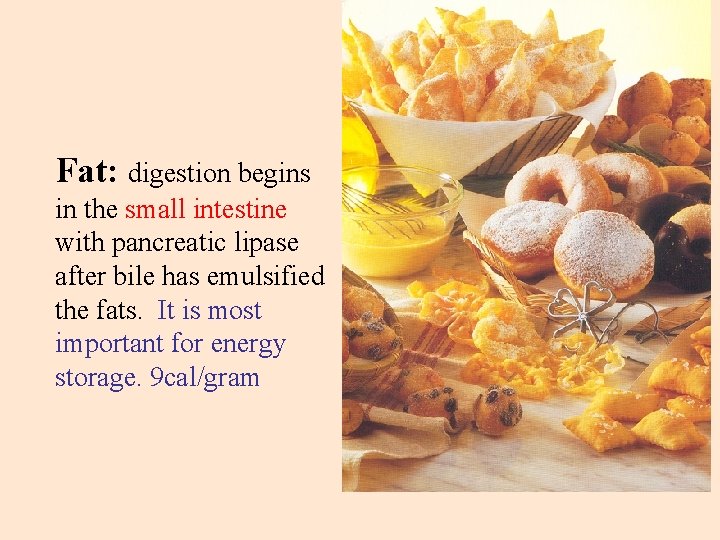 Fat: digestion begins in the small intestine with pancreatic lipase after bile has emulsified