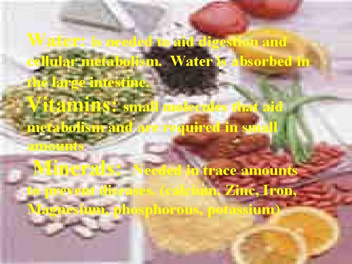 Water: is needed to aid digestion and cellular metabolism. Water is absorbed in the