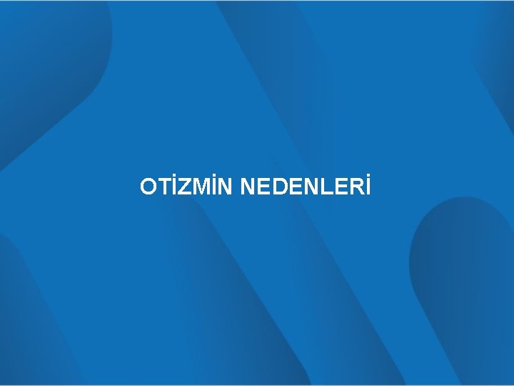 OTİZMİN NEDENLERİ 