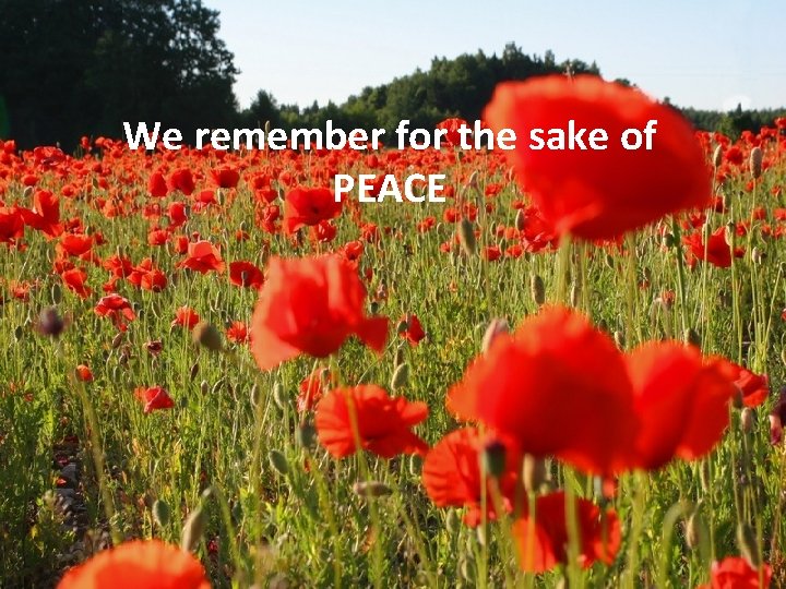 We remember for the sake of PEACE 