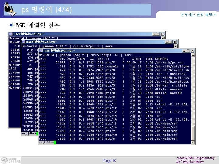 ps 명령어 (4/4) 프로세스 관리 명령어 BSD 계열인 경우 Page 18 Linux/UNIX Programming by