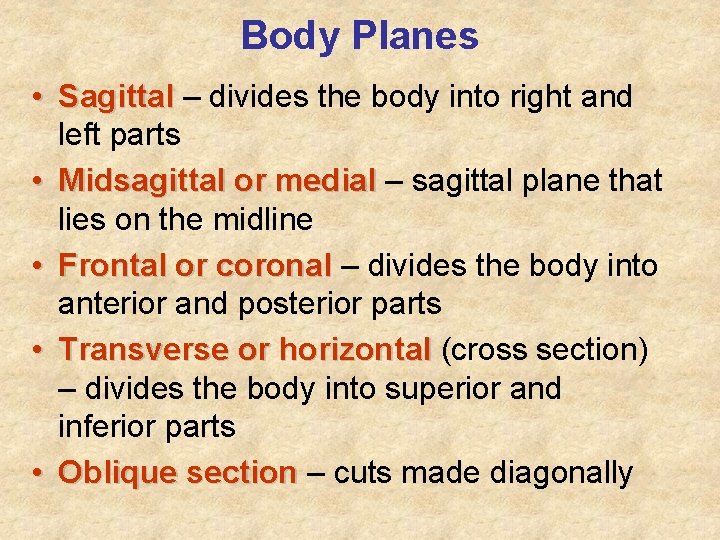 Body Planes • Sagittal – divides the body into right and left parts •