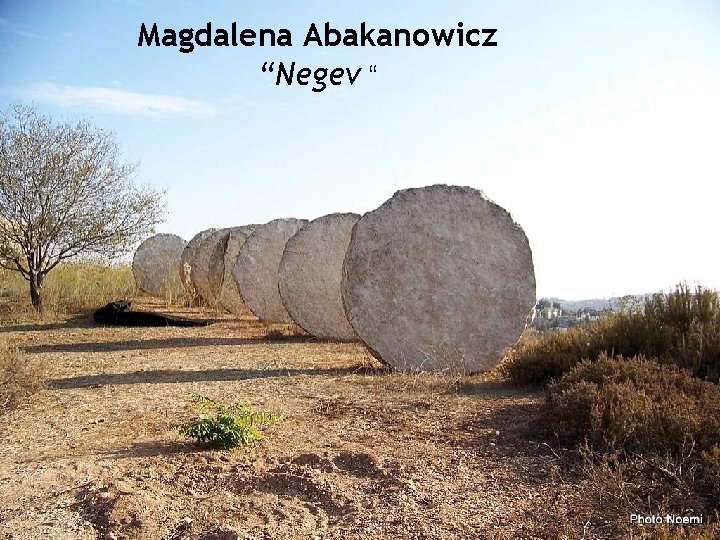 Magdalena Abakanowicz “Negev “ 