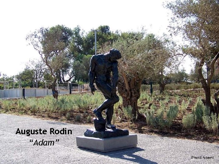 Auguste Rodin “Adam” 