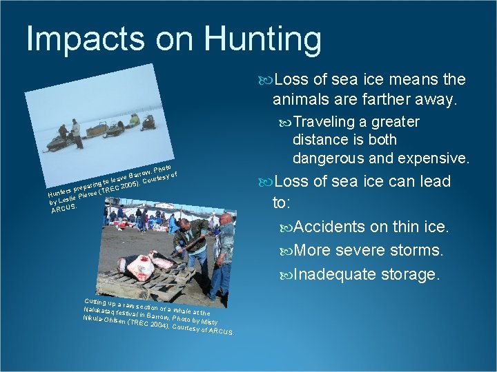 Impacts on Hunting Loss of sea ice means the animals are farther away. Traveling