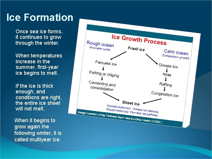 Ice Formation Once sea ice forms, it continues to grow through the winter. When