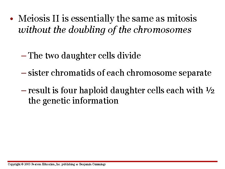  • Meiosis II is essentially the same as mitosis without the doubling of