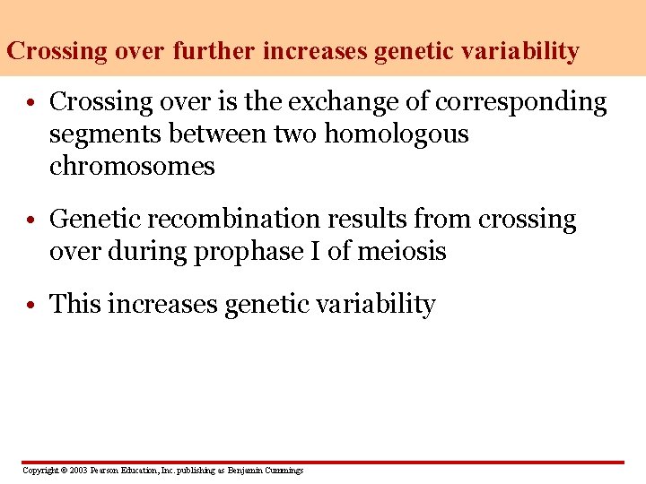 Crossing over further increases genetic variability • Crossing over is the exchange of corresponding