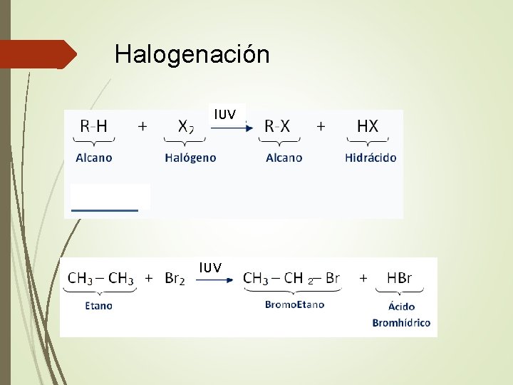 Halogenación l. UV 2 