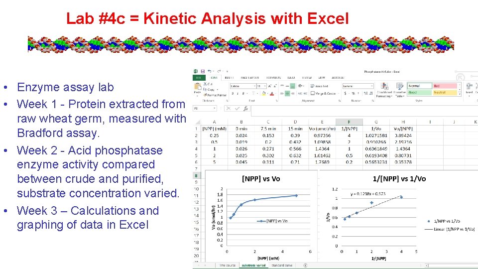 Lab #4 c = Kinetic Analysis with Excel • Enzyme assay lab • Week