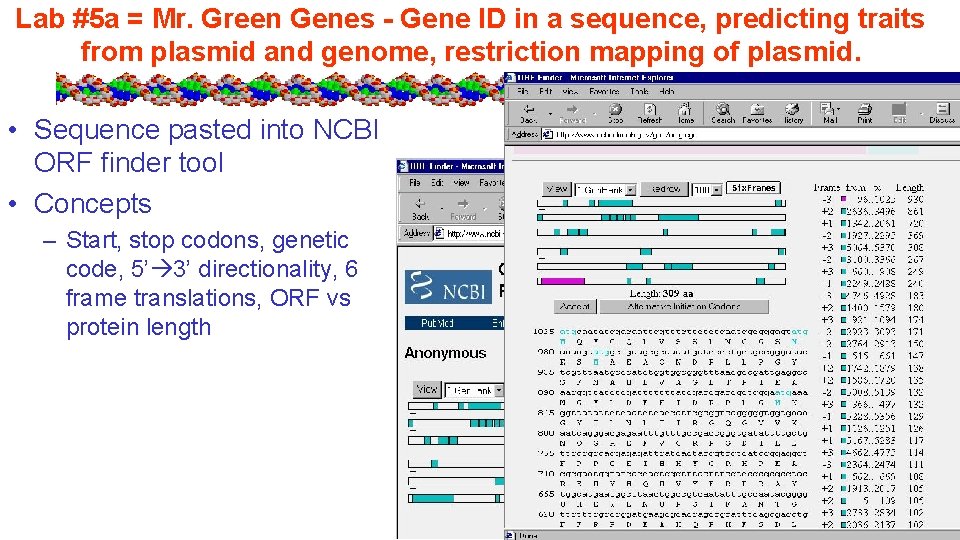 Lab #5 a = Mr. Green Genes - Gene ID in a sequence, predicting