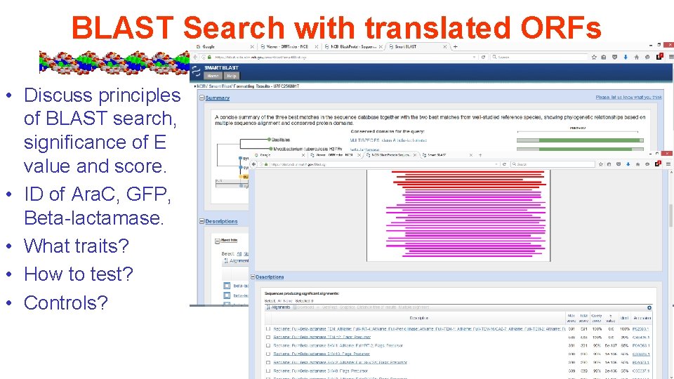 BLAST Search with translated ORFs • Discuss principles of BLAST search, significance of E