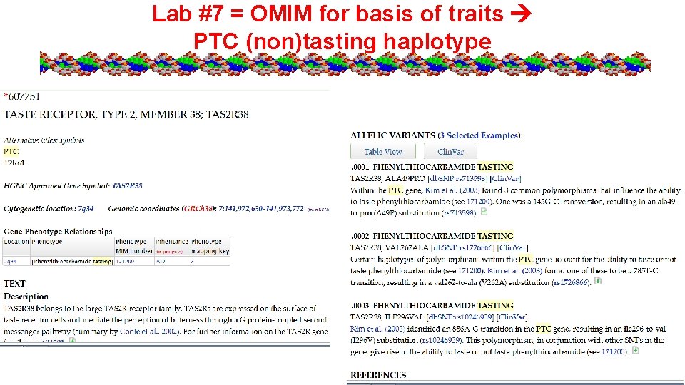 Lab #7 = OMIM for basis of traits PTC (non)tasting haplotype 
