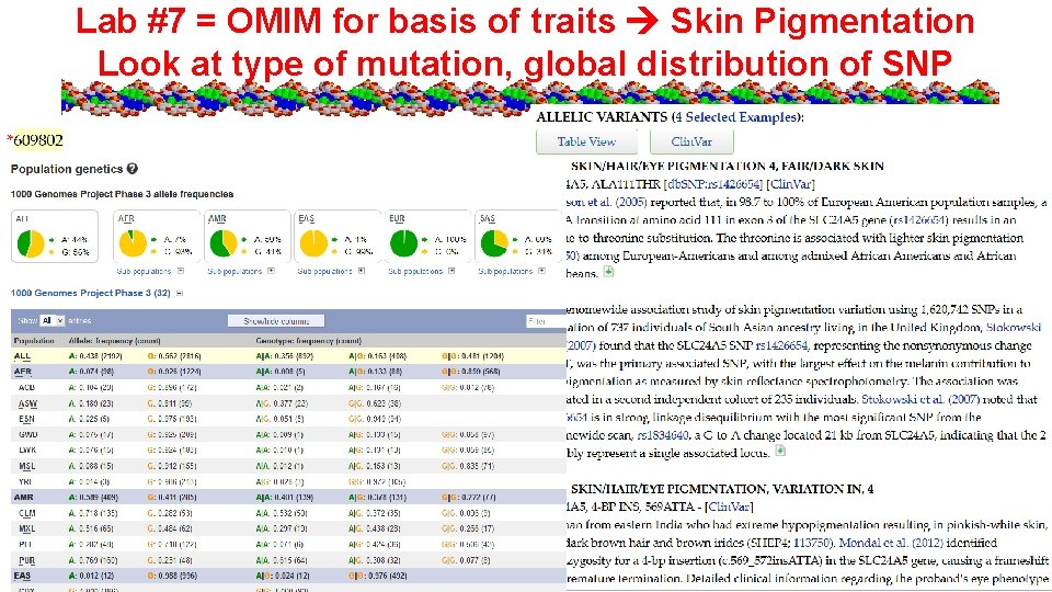 Lab #7 = OMIM for basis of traits Skin Pigmentation Look at type of