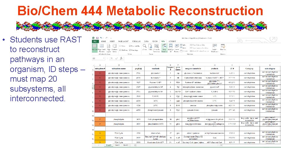 Bio/Chem 444 Metabolic Reconstruction • Students use RAST to reconstruct pathways in an organism,