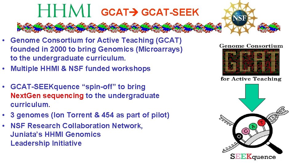 GCAT-SEEK • Genome Consortium for Active Teaching (GCAT) founded in 2000 to bring Genomics