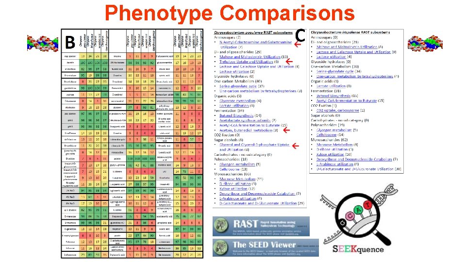 Phenotype Comparisons 