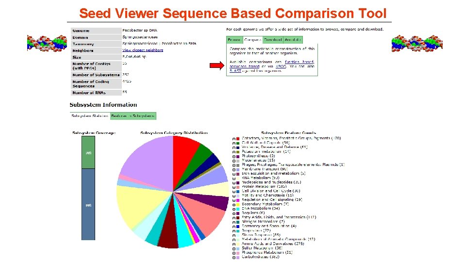 Seed Viewer Sequence Based Comparison Tool 
