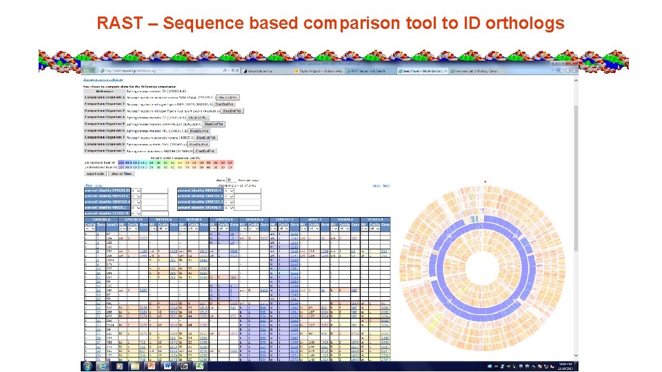 RAST – Sequence based comparison tool to ID orthologs 