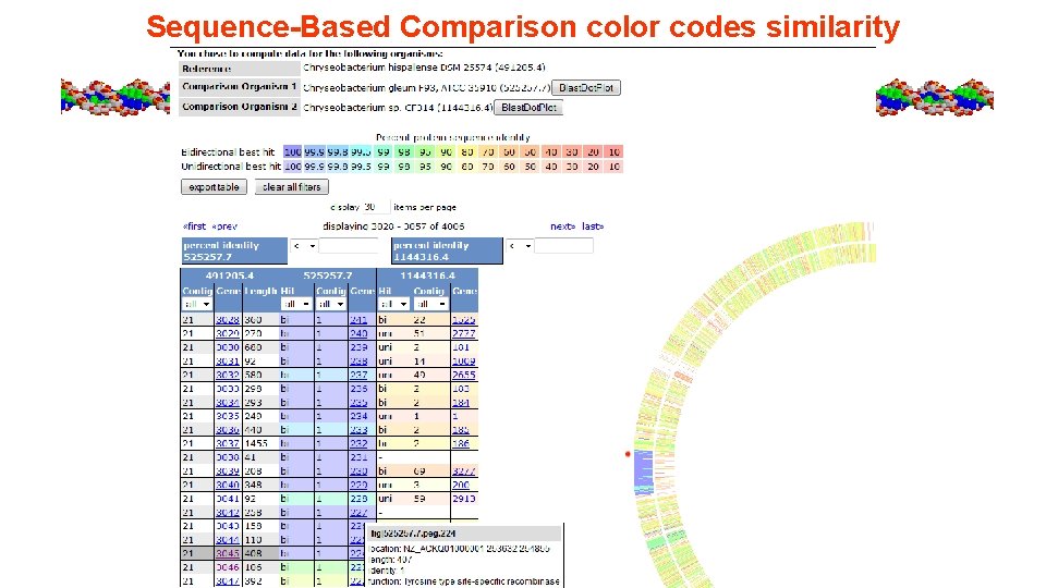 Sequence-Based Comparison color codes similarity 