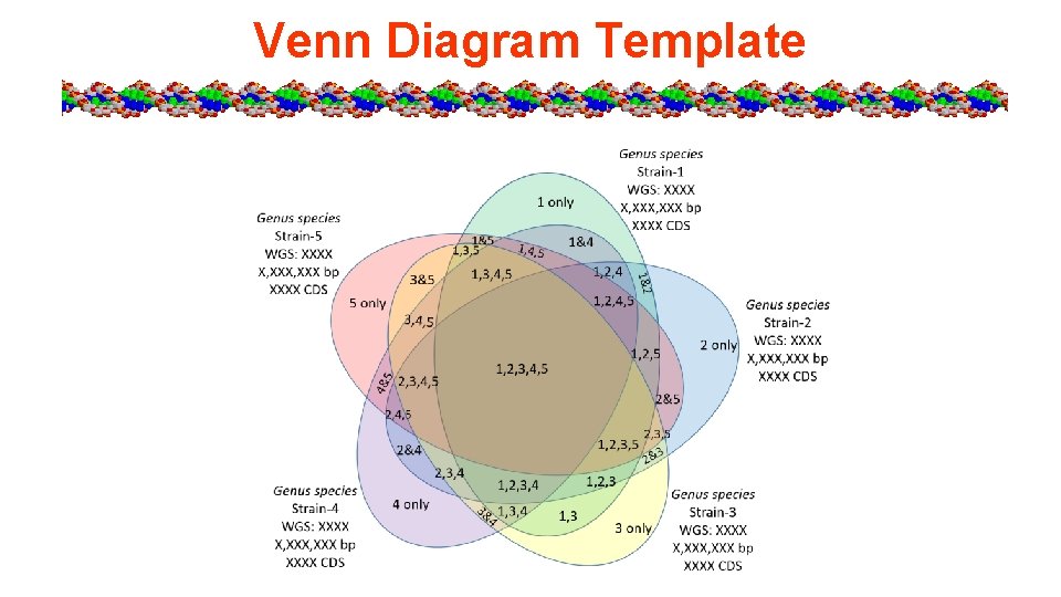 Venn Diagram Template 