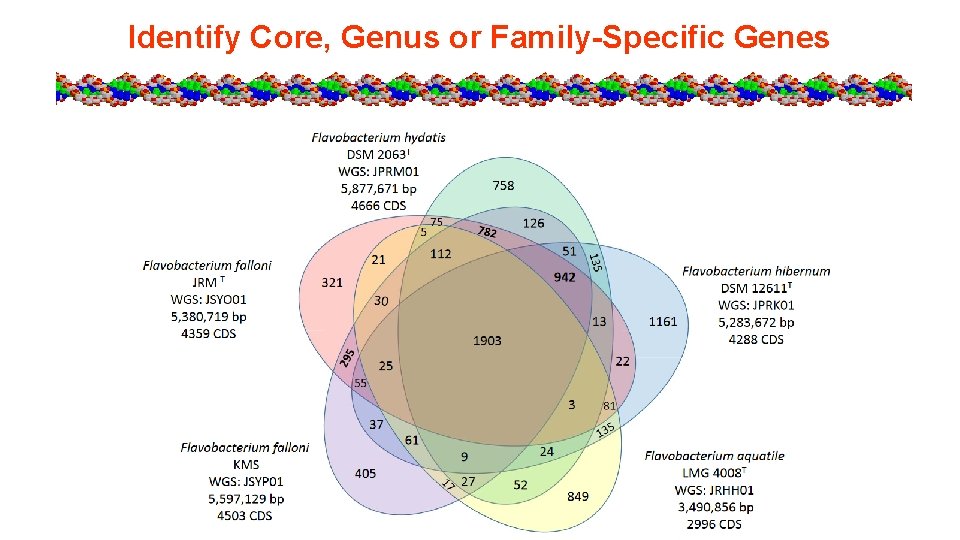 Identify Core, Genus or Family-Specific Genes 