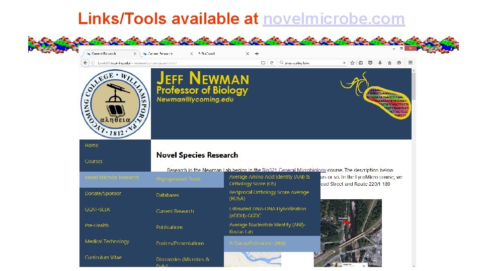 Links/Tools available at novelmicrobe. com 