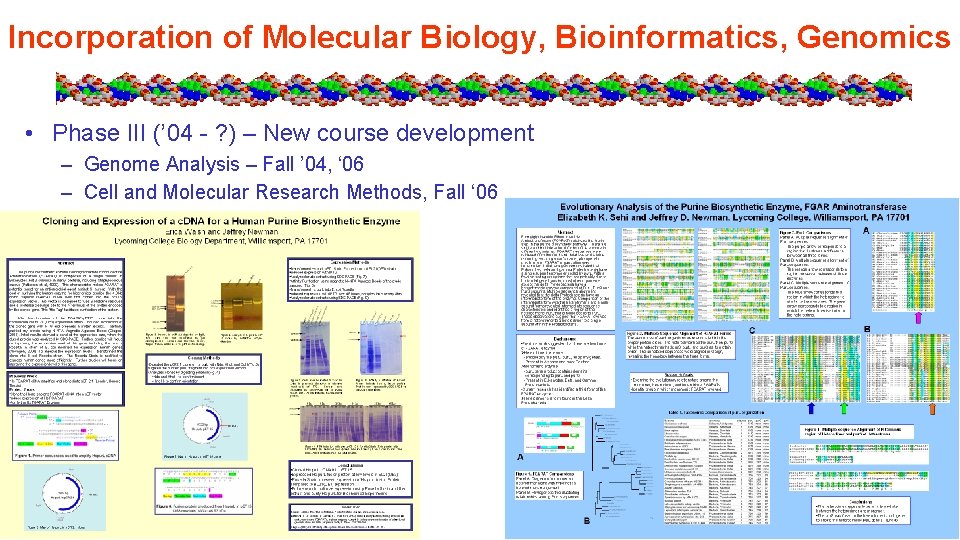 Incorporation of Molecular Biology, Bioinformatics, Genomics • Phase III (’ 04 - ? )