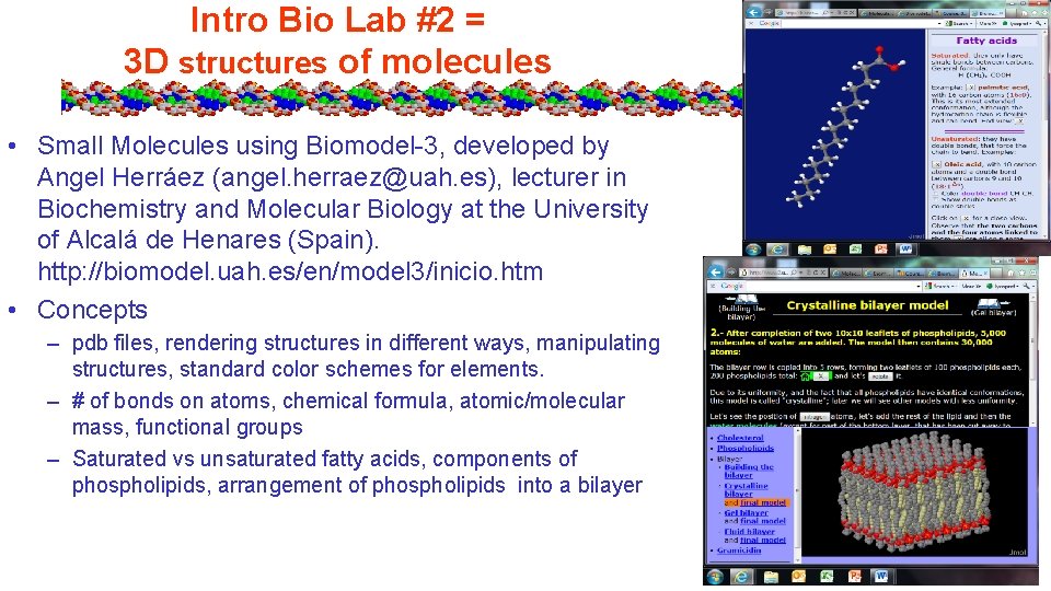 Intro Bio Lab #2 = 3 D structures of molecules • Small Molecules using