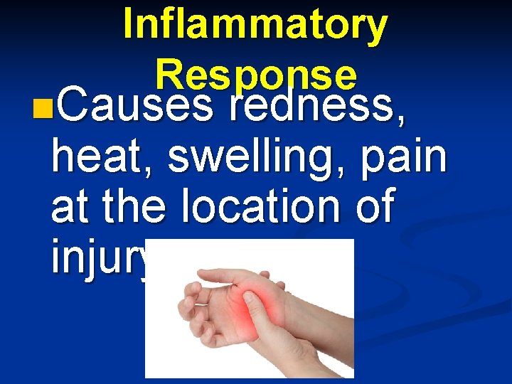 Inflammatory Response n. Causes redness, heat, swelling, pain at the location of injury 