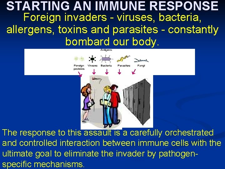 STARTING AN IMMUNE RESPONSE Foreign invaders - viruses, bacteria, allergens, toxins and parasites -