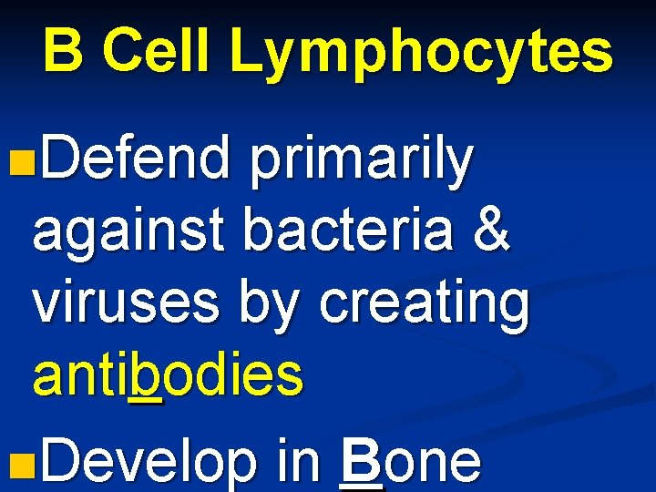 B Cell Lymphocytes n. Defend primarily against bacteria & viruses by creating antibodies n.