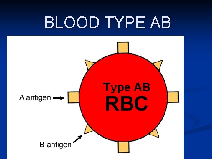 BLOOD TYPE AB 
