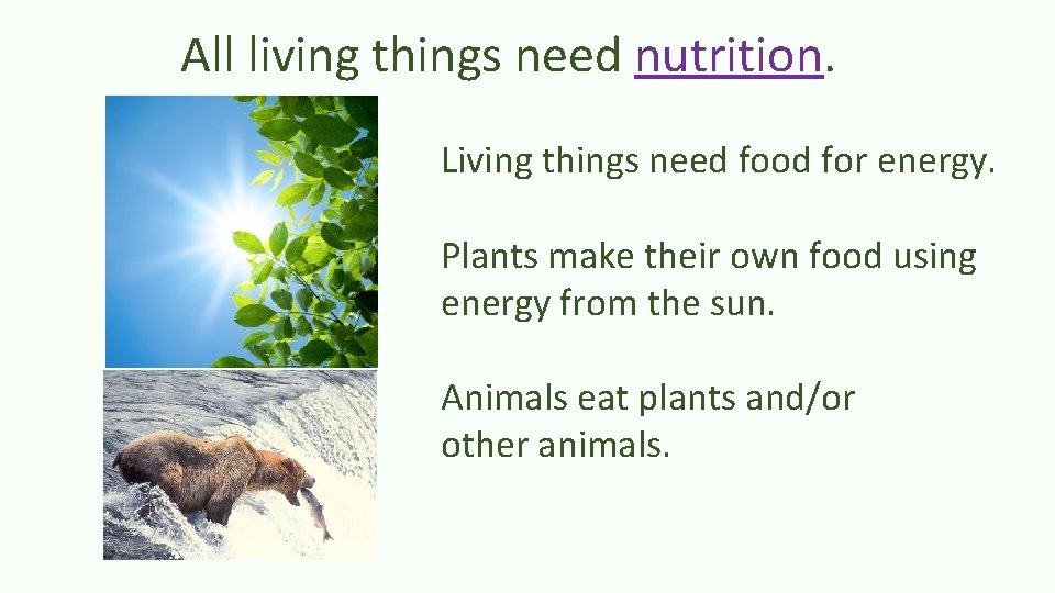 All living things need nutrition. Living things need food for energy. Plants make their