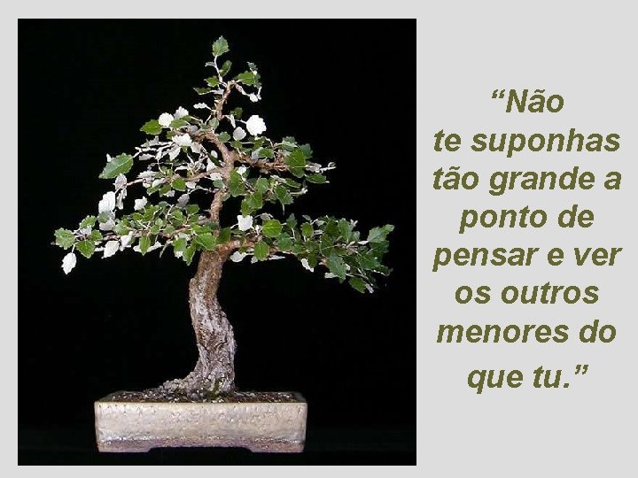 “Não te suponhas tão grande a ponto de pensar e ver os outros menores