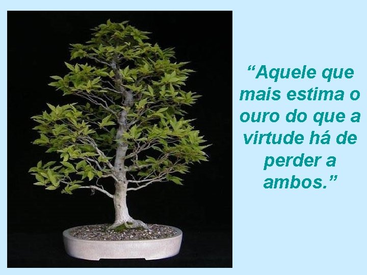 “Aquele que mais estima o ouro do que a virtude há de perder a