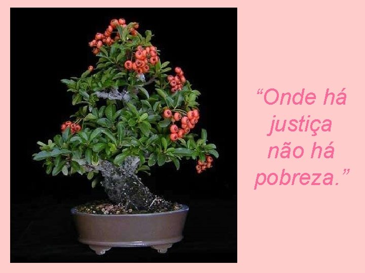 “Onde há justiça não há pobreza. ” 