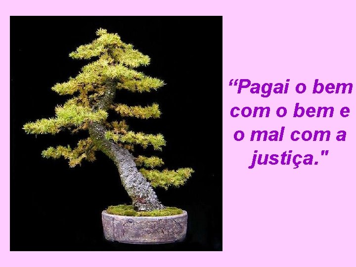 “Pagai o bem com o bem e o mal com a justiça. " 