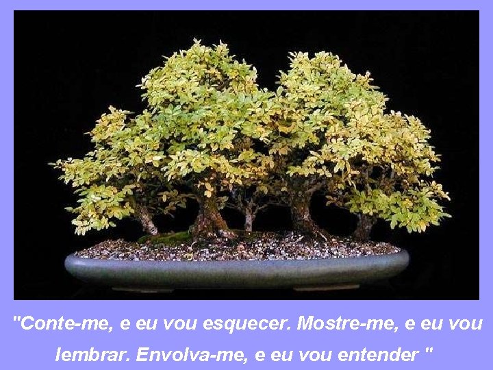 "Conte-me, e eu vou esquecer. Mostre-me, e eu vou lembrar. Envolva-me, e eu vou