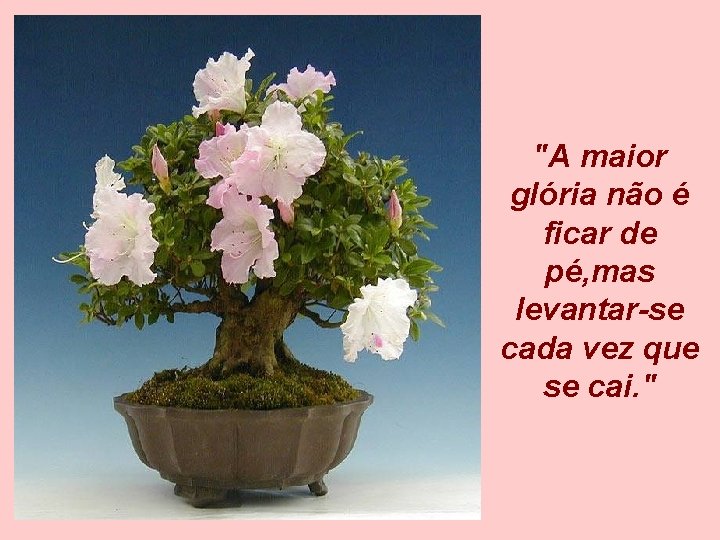 "A maior glória não é ficar de pé, mas levantar-se cada vez que se