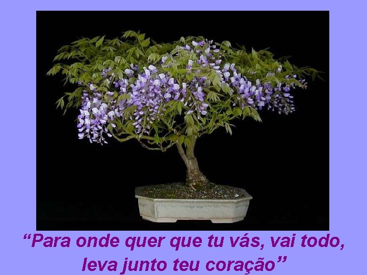 “Para onde quer que tu vás, vai todo, leva junto teu coração” 