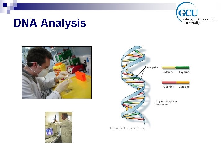 DNA Analysis 