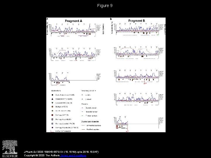 Figure 9 JPharm. Sci 2020 109543 -557 DOI: (10. 1016/j. xphs. 2019. 10. 047)