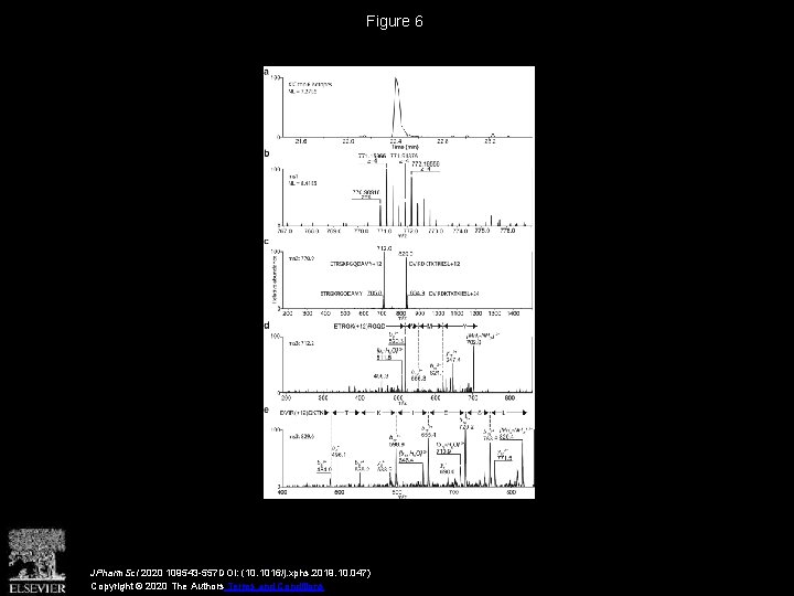 Figure 6 JPharm. Sci 2020 109543 -557 DOI: (10. 1016/j. xphs. 2019. 10. 047)