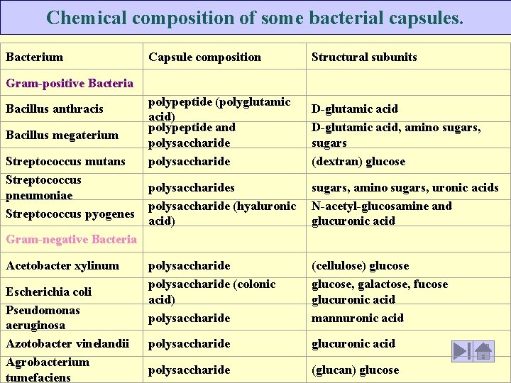Chemical composition of some bacterial capsules. Bacterium Capsule composition Structural subunits polypeptide (polyglutamic acid)