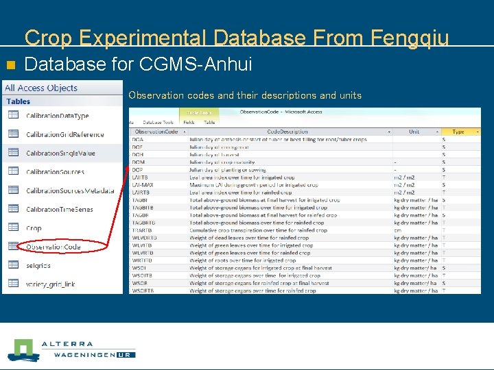 Crop Experimental Database From Fengqiu n Database for CGMS-Anhui Observation codes and their descriptions