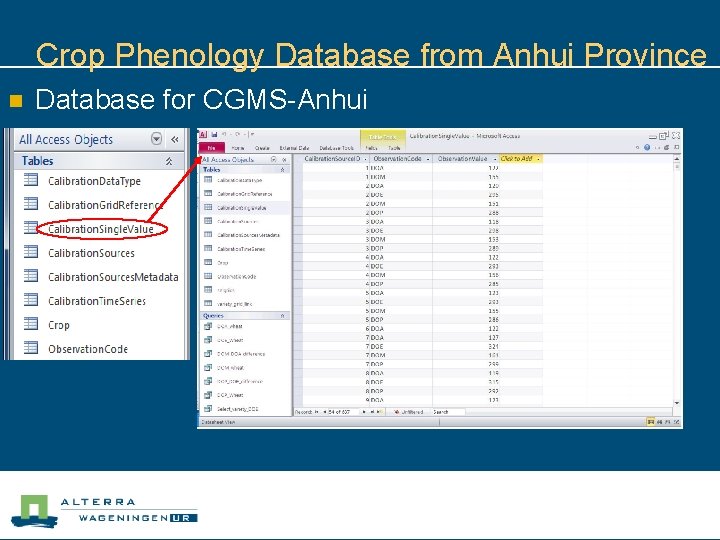 Crop Phenology Database from Anhui Province n Database for CGMS-Anhui 
