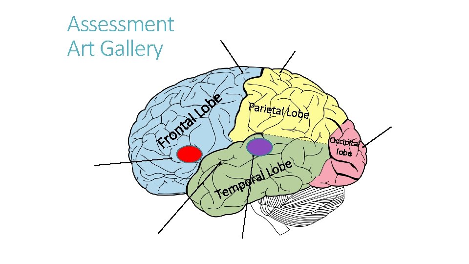 Assessment Art Gallery t n o r F e b o L l a
