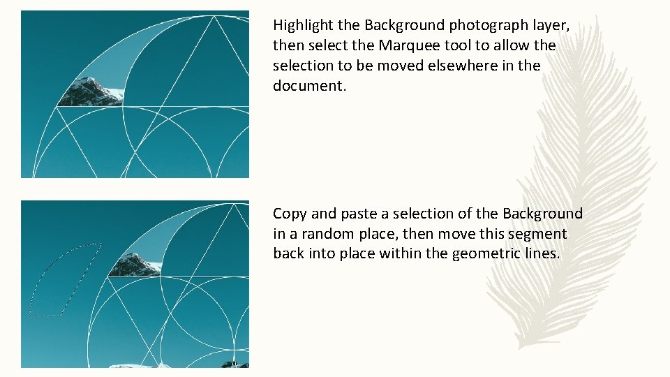Highlight the Background photograph layer, then select the Marquee tool to allow the selection