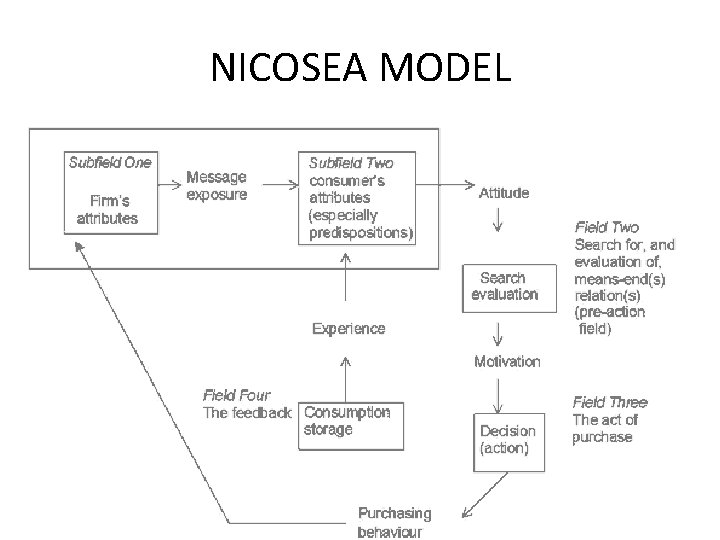NICOSEA MODEL 